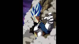 LR BLUE EVOLUTION VEGETA SUPER ATTACKS ACTIVE SKILL AND REVIAL SKILL  Dragon Ball Z Dokkan Battle [upl. by Arrac270]