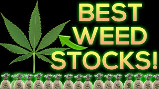 Best Marijuana Stocks To Invest In 2020 [upl. by Kyne]