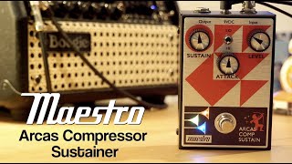 Maestro Arcas Compressor Sustainer [upl. by Yelruc]