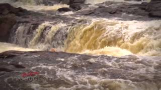 Kayaking The Raquette River  Colton NY [upl. by Mairym]