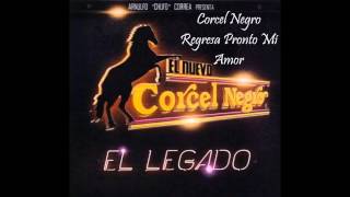 Corcel Negro Regresa Pronto Mi Amor [upl. by Novel499]