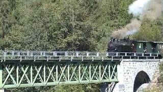 Wälderbähnle Museumsbahn im Bregenzerwald [upl. by Mokas164]