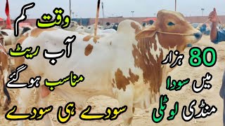 Nothern Bypass Mandi Latest Rates And Bargaining  22 June 2023  Bakra Eid Season 2023 [upl. by Zacharias210]