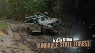 MUDDY FUN in Bungabee State Forest [upl. by Kurtzig]