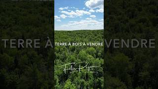 Terre à bois de 180 acres à vendre à Mandeville 📍Lanaudière [upl. by Elnore]