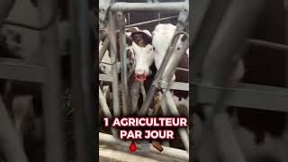 1 agriculteur tout les jours ⚰️🆘 sos agriculture élevage vache montbéliarde mort agriculteur [upl. by Eeruhs]