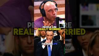 Rogan on Mark Zuckerberg Speaking Mandarin in China [upl. by Ramirol207]