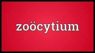 Zoöcytium Meaning [upl. by Yantruoc]