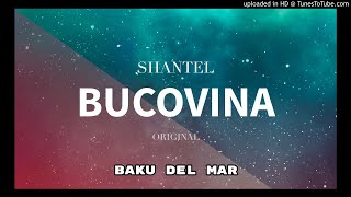 Shantel  Bucovina ORIGINAL [upl. by Annazor499]