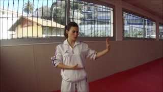 Heian Nidan  Karate Training Sonia Fiuza [upl. by Ayaros]