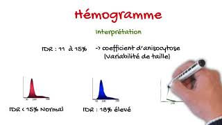 Hémogramme pour étudiant en médecine [upl. by Atiekram]