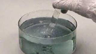 Reaction of Calcium with Water [upl. by Ellekim]