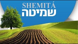 🌄 SHEMITÁ ¿COMO SE GUARDA EL AÑO SABÁTICO 2022  Shalom132 [upl. by Cuthbertson]