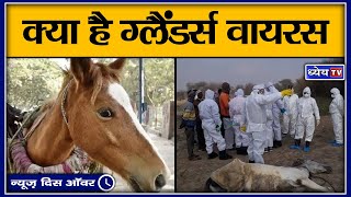 NTH क्या है ग्लैंडर्स बीमारी II What is Glanders disease II an infectious disease [upl. by Elleraj132]