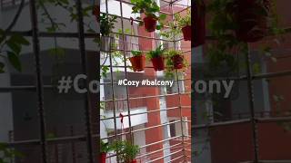 My balcony II balcony garden shortvideo ytshorts [upl. by Beverie]