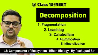 Steps of Decomposition  Ecosystem  Class 12NEET  By Pashupati Sir [upl. by Marcelle79]