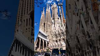 La Sagrada Familia A Gaudi Masterpiece ❤️ gaudi barcelona summervacation spain español god [upl. by Tneciv]