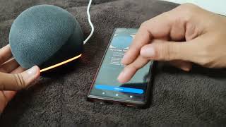 How To Setup Amazon Alexa Speaker  SETUP Amazon Alexa Echo Speaker [upl. by Ranee]