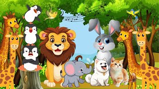 quotAnimals Song for Kids with Cat Dog Monkey Elephant and Morequot [upl. by Jerrylee]