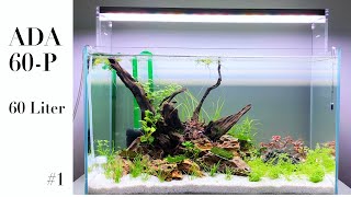 ADA 60P  60x30x36 cm  60 Liter 1 Setup [upl. by Odilo332]