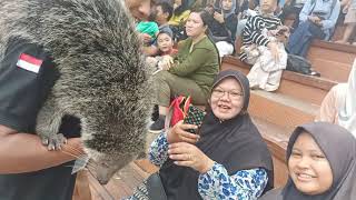 Animal show Faunaland Ancol  Seru Banget Bisa Berinteraksi Dengan Binatang [upl. by Angela]