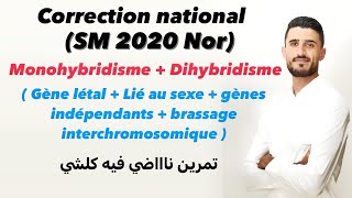 Les lois statistiques de l’hérédité Correction national SMA 2020 nor géne létal  lié au sexe [upl. by Ynaffad551]