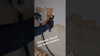 Wallpaper removal with steam machine in a house renovation project in London in i UK [upl. by Annol]