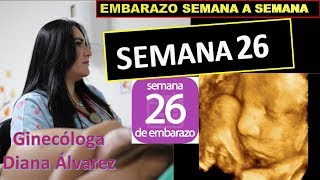 SEMANA 26 EMBARAZO SEMANA A SEMANA POR GINECOLOGA DIANA ALVAREZ [upl. by Ahsinrac515]