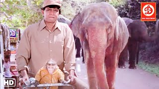 Main Aur Mera Haathi Full Movie  मैं और मेरा हाथी  Mithun Chakraborty Poonam Dhillon Movies [upl. by Ahseim]