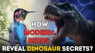 How Modern Birds Reveal Dinosaur Secrets Part 1 [upl. by Shalne96]