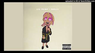 Lil Pump  Molly Acapella Reupload from J1F1 [upl. by Russo195]