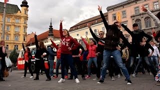 Finální MOB Dance Masarykovy univerzity [upl. by Hyatt337]