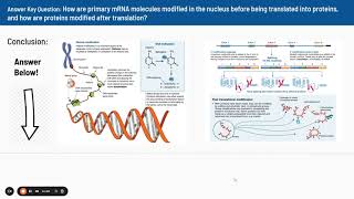 20 DNA Packaging and Control of Transcription Video [upl. by Marchese209]