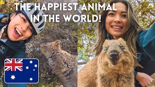 The BEST day on Rottnest Island Biking and Quokka selfies [upl. by Enaid]