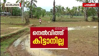 കൃഷിഭവനിൽ സ്റ്റോക്കില്ല ഒന്നാംവിള കൃഷിക്കുള്ള നെൽവിത്തുകൾ കിട്ടാതെ പാലക്കാട്ടെ കർഷകർ [upl. by Borg]