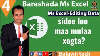 4Ms Excel  Editing Data  xogta sida loomaamulo [upl. by Borchert]