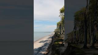 Herbst an der Ostsee kühlungsborn beach herbst ostsee ￼ [upl. by Euqinehs409]