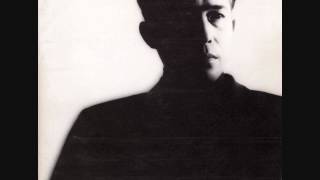 Susumu Hirasawa  Fish Song [upl. by Rubia]