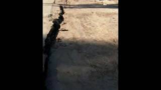 Terremoto en Mexicali 2010  Somos 40 [upl. by Bigot651]