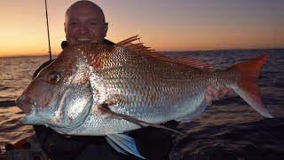 Hot Sunset Bite Snapper and Mulloway great fishing offshore Fraser Island with Rainbow Escape [upl. by Alvina]