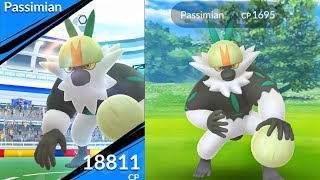 PASSIMIAN new raid Boss in Pokemon GO [upl. by Ellocin]