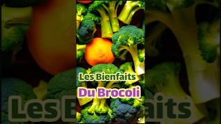 Les Bienfaits du Brocoli [upl. by Assyle]