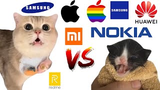 Cute Cat Meowing VS Kitten Meows BUT famous phone ringtones [upl. by Kallick]