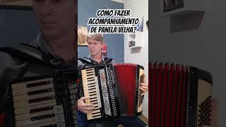 ACOMPANHANDO Panela Velha musica musicagaucha tradicaogaucha acordeon [upl. by Randall989]