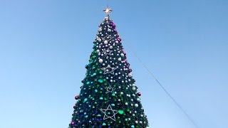 🎄 В Севастополе нарядили главную городскую ёлку ❄⭐🌲 [upl. by Ydnar]