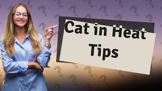 How do you stop a cat in heat without spaying [upl. by Esineg313]