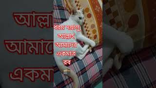 AzhariWaz💖viralvideo shors wazislamic foryou trending [upl. by Racklin]