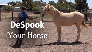 Groundwork For Horses  Desensitizing A Yearling Horse [upl. by Lowry186]