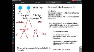Ovogenèse résidanat oran [upl. by Drofwarc]