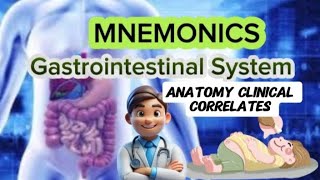 Gastrointestinal System Anatomy Clinical Correlates lecture 23 Other Abdominal Organs [upl. by Seiber]